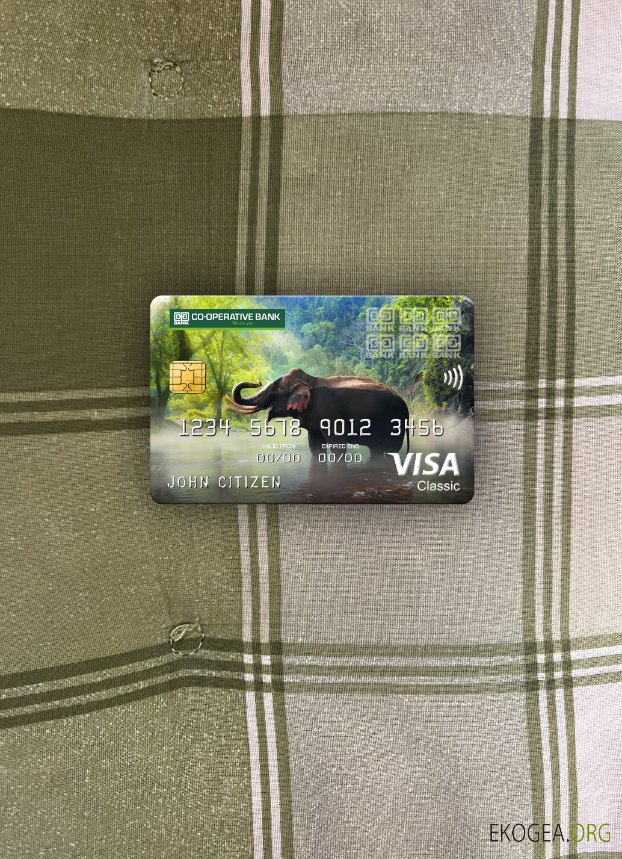 Kenya Co , banque opérationnelle visa carte classique photolook avant